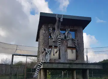 Peak Wildlife Park
