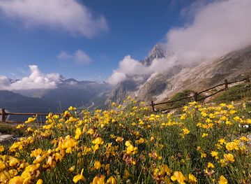 italy/aosta-valley/landmark/saussurea-alpine-botanical-garden