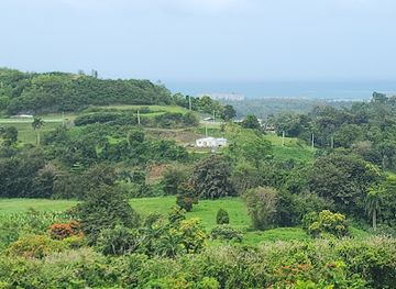 puerto-rico/el-yunque-national-forest/landmark/carabali-rainforest-park