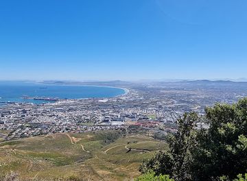 south-africa/west-coast-national-park/landmark/newlands-forest