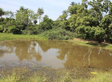 the-gambia/tendaba-camp/landmark/abuko-nature-reserve
