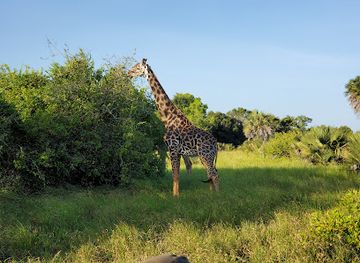 tanzania/tarangire-national-park/landmark/saadani-national-park