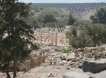 jordan/dibeen-forest/landmark/temple-of-artemis