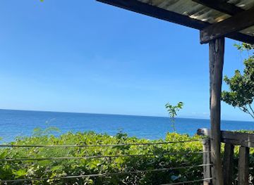 philippines/panglao-island/landmark/bohol-bee-farm