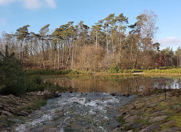 netherlands/betuwe/landmark/hoeve-delle