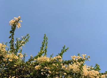 egypt/cairo/heliopolis/landmark/samiya