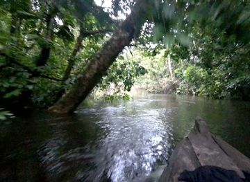 colombia/amazonas-department/landmark/familia-guzman-tabaco-y-coca-manbe-y-ambil