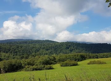 poland/bieszczady-mountains/landmark/szepit-waterfall-on-a-creek-hylaty