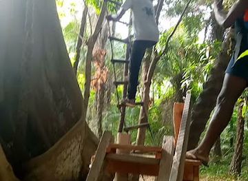 senegal/ziguinchor/landmark/ziguinchor-senegal