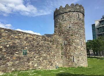 ireland/waterford/landmark/the-double-tower