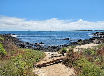 ecuador/puerto-ayora/landmark/playa-de-la-estacion