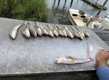 south-carolina/edisto-island/landmark/fontaine-charters