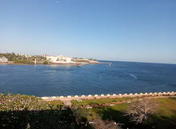 Pembe Za Ndovu - Mombasa