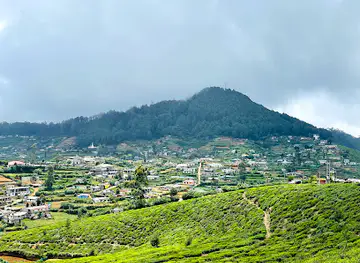 Shanthipura View Point
