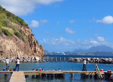 saint-kitts-and-nevis/nevis-peak/landmark/dolphin-discovery-saint-kitts