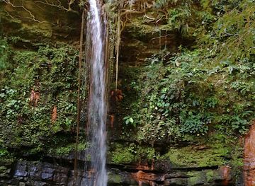 malaysia/miri/landmark/taman-negara-bukit-lambir