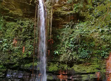 Taman Negara Bukit Lambir