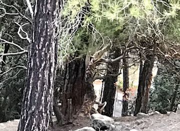 cyprus/troodos-national-forest-park/landmark/moufflon-enclosure