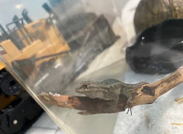 california/central-california/landmark/vaca-pena-adobe-california-historical-landmark-534