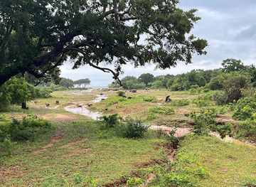 sri-lanka/northern-province/landmark/one-pillars-of-ancient-building-yala-np