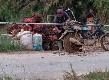 indonesia/north-sumatra/landmark/pancang-perbatasan-sumatera-barat-dengan-sumatera-utara