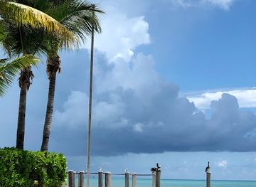 florida/florida-keys/landmark/the-key-west-butterfly-and-nature-conservatory