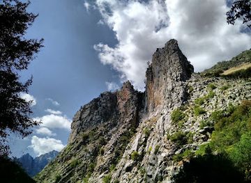 california/sequoia-national-park/landmark/boyden-cavern-adventures-tours-llc