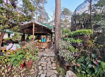 philippines/baguio/landmark/panagbenga-park