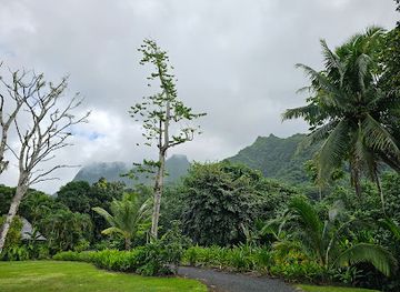 french-polynesia/raiatea/landmark/de-raiatea-botanical-garden