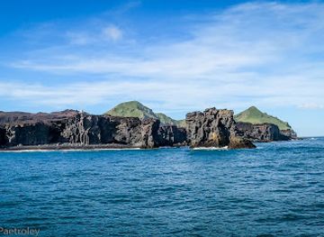 iceland/westman-islands/landmark/ribsafari
