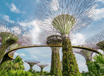 singapore/north-region/landmark/gardens-by-the-bay