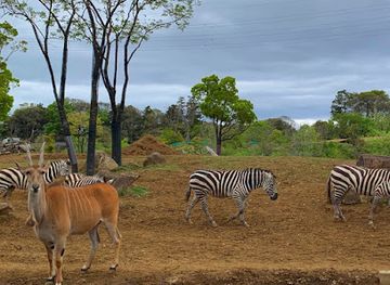 japan/kanto/landmark/yokohama-zoological-gardens-zoorasia