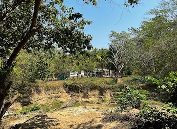 colombia/orinoquia/landmark/taroa-adventures