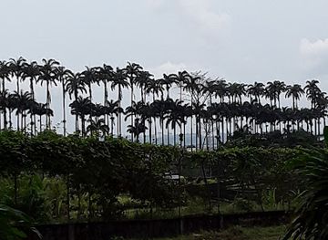 equatorial-guinea/malabo-bay/landmark/finca-sampaka