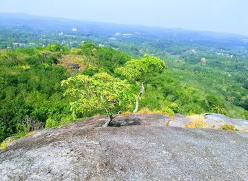 india/kerala-backwaters/landmark/nadukani-view-point-kayyoor