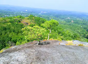 Nadukani View Point, Kayyoor