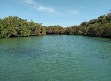 ecuador/galapagos-islands/landmark/laguna-las-ninfas