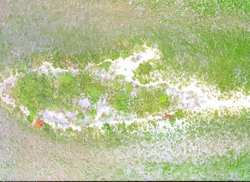 the-bahamas/bimini-islands/landmark/shark-mound