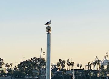 california/bakersfield/landmark/hart-memorial-park