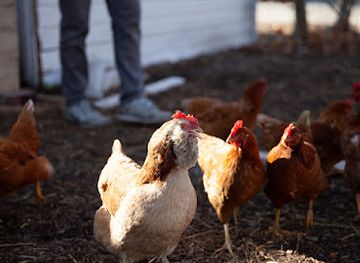 iowa/ames/landmark/ames-romero-house
