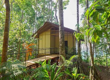 costa-rica/osa-peninsula/landmark/scp-corcovado-wilderness-lodge