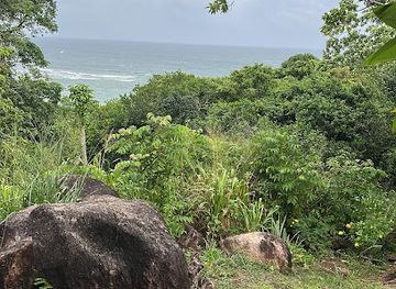 sri-lanka/unawatuna/landmark/unawatuna-camp-in-the-jungle