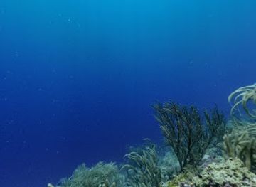 trinidad-and-tobago/tobago/landmark/isa-s-palace