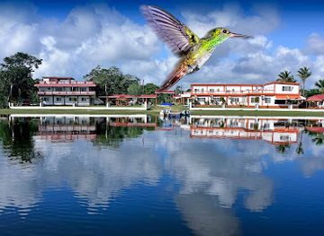 belize/orange-walk-district/landmark/bird-s-eye-view-lodge-tours