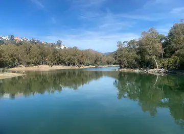 Turtle lake