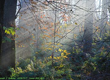 pennsylvania/laurel-highlands/landmark/laurel-highlands-historical-village