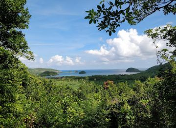 saint-lucia/marigot-bay/landmark/mamiku-gardens