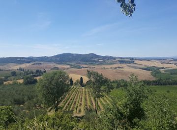 italy/montepulciano/landmark/azienda-agricola-canneto