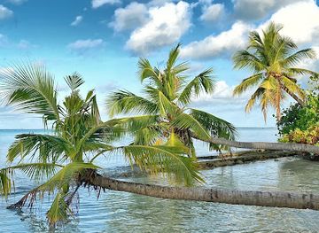 maldives/seenu-atoll/landmark/maradhoo