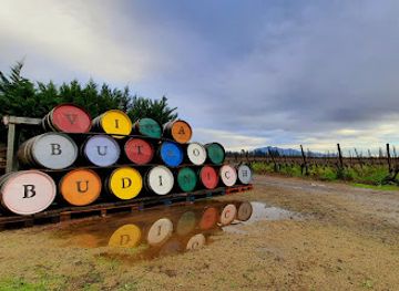 chile/rancagua/landmark/vina-butron-budinich